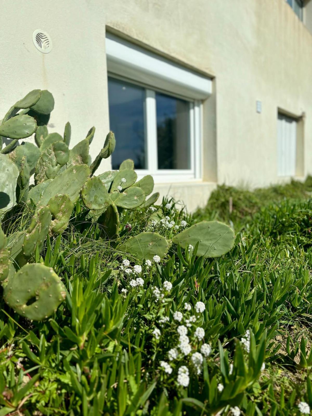 La Graviere, Cozy Studio Wifi & Parking 20M Ocean Surf Plage Soorts-Hossegor Εξωτερικό φωτογραφία